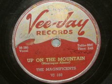 78M193 MAGNIFICIENTS - UP ON THE MOUNTAIN