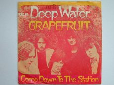 GRAPEFRUIT - DEEP WATER